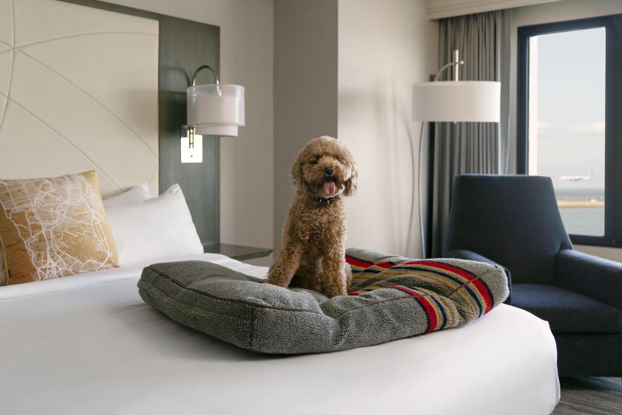 San Francisco Airport Marriott Waterfront Ξενοδοχείο Burlingame Εξωτερικό φωτογραφία
